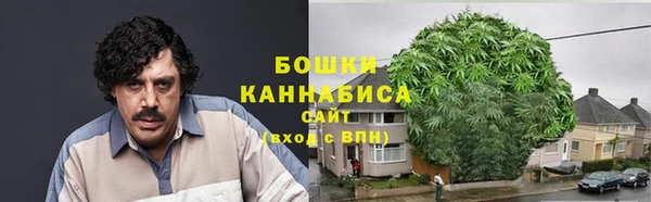 индика Белоозёрский